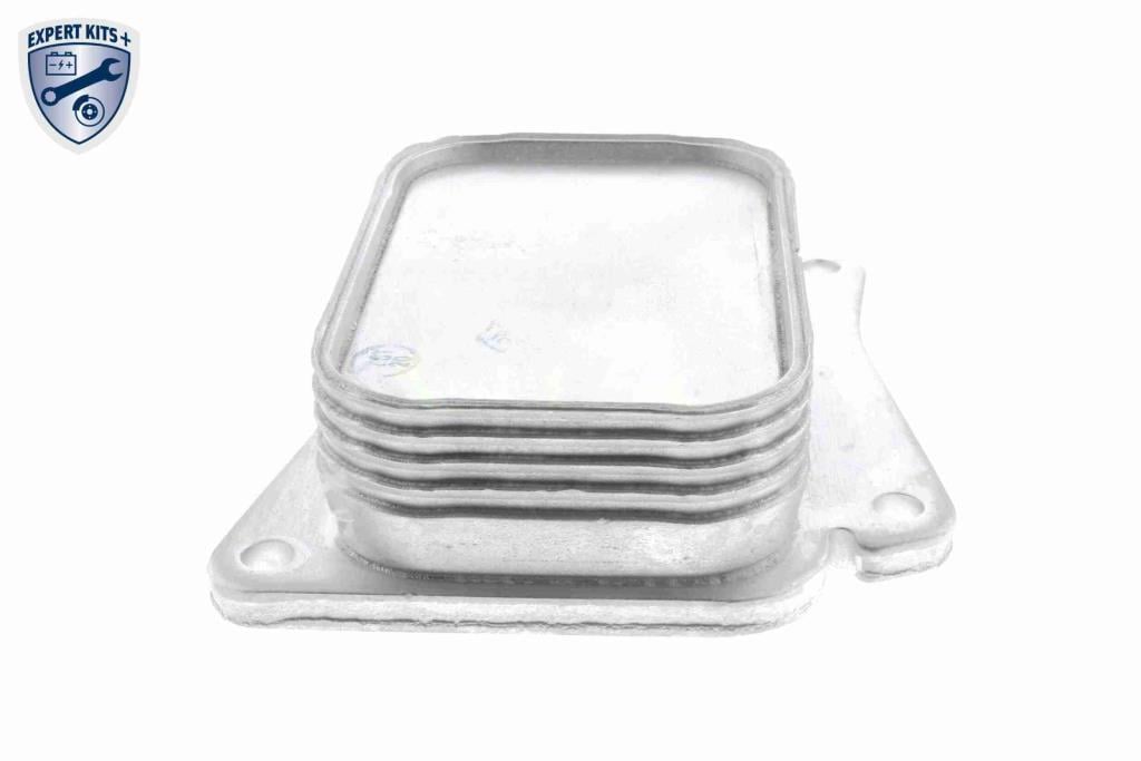 Radiador óleo motor VEMO ref. V30-60-1313