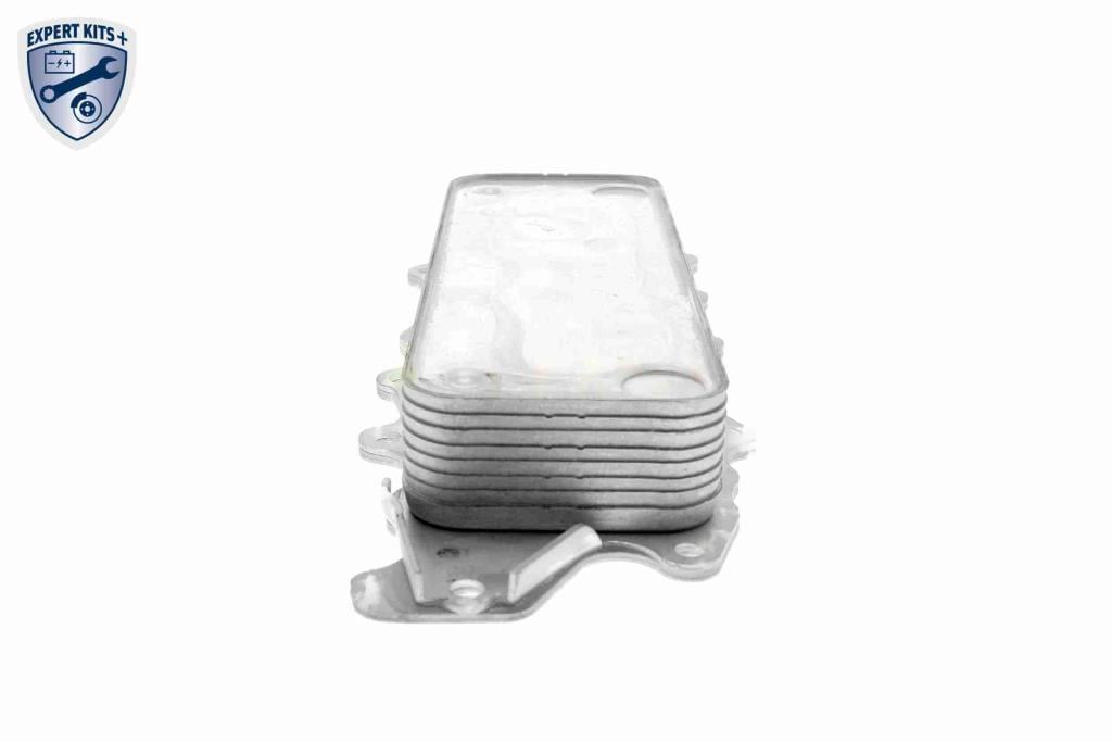Radiador óleo motor VEMO ref. V30-60-1317