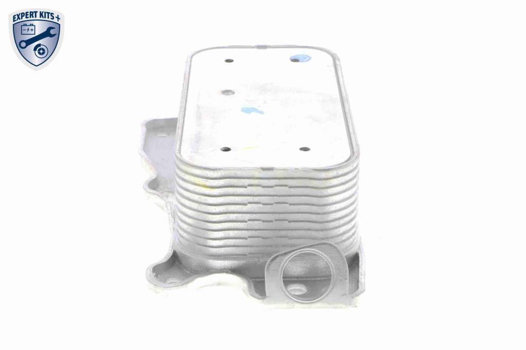 Radiador óleo motor VEMO ref. V30-60-1321