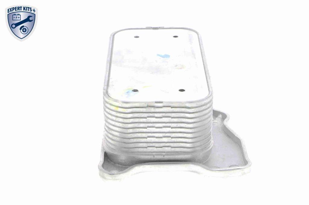 Radiador óleo motor VEMO ref. V30-60-1321