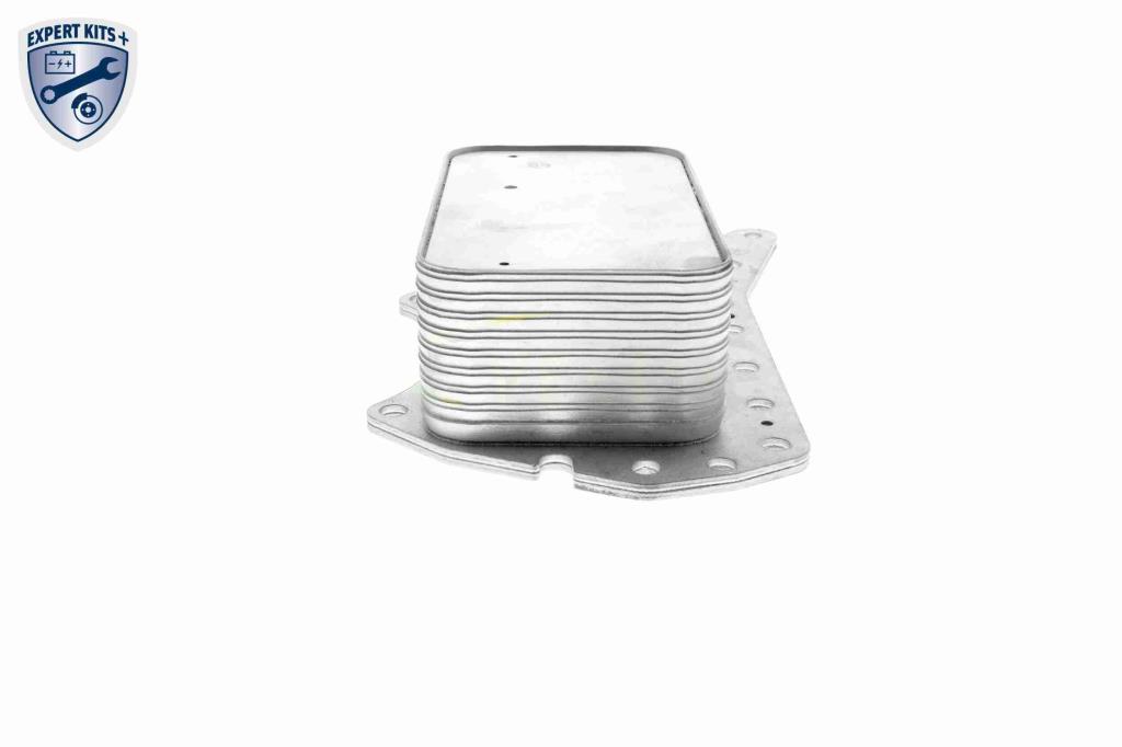 Radiador óleo motor VEMO ref. V30-60-1322