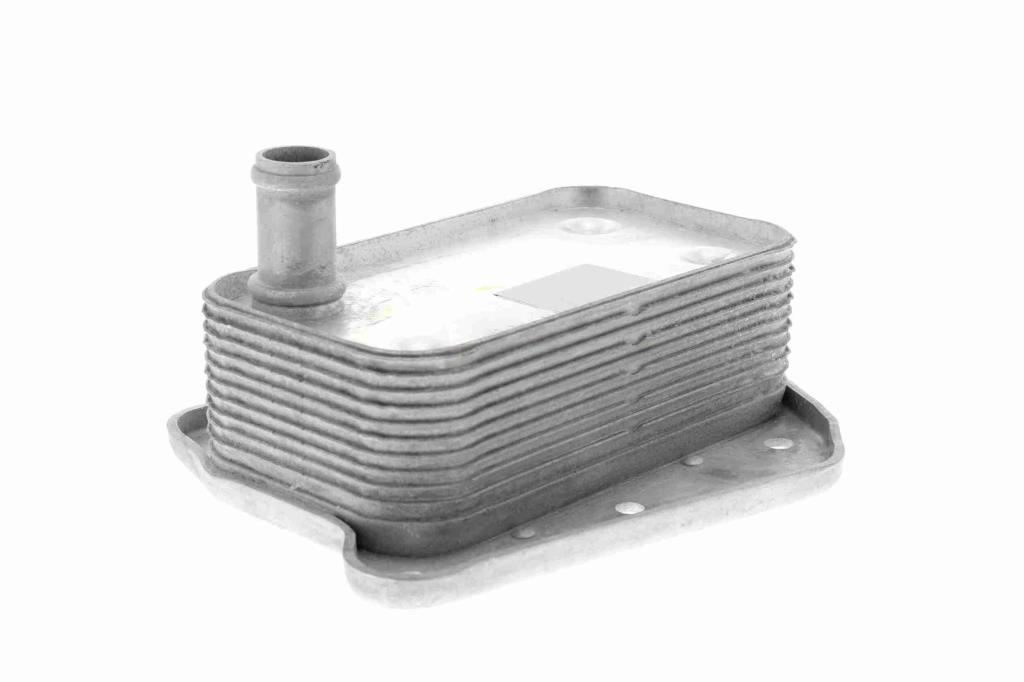 Radiador óleo motor VEMO ref. V30-60-1323