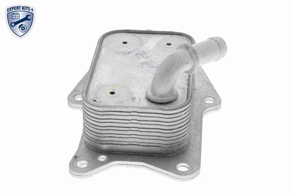 Radiador óleo motor VEMO ref. V30-60-1341