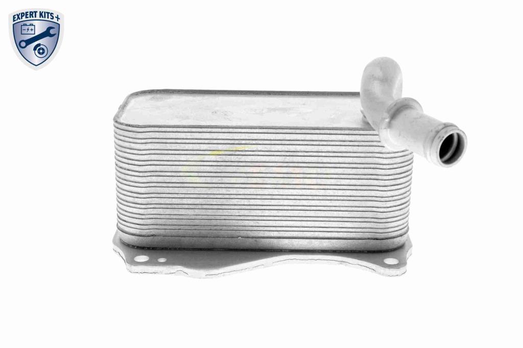 Radiateur d'huile moteur (Refroidisseur d'huile moteur) VEMO V30-60-1342