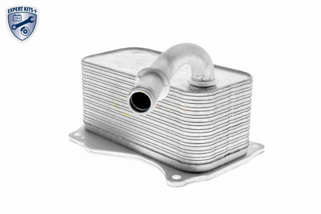 Radiateur d'huile moteur (Refroidisseur d'huile moteur) VEMO V30-60-1342