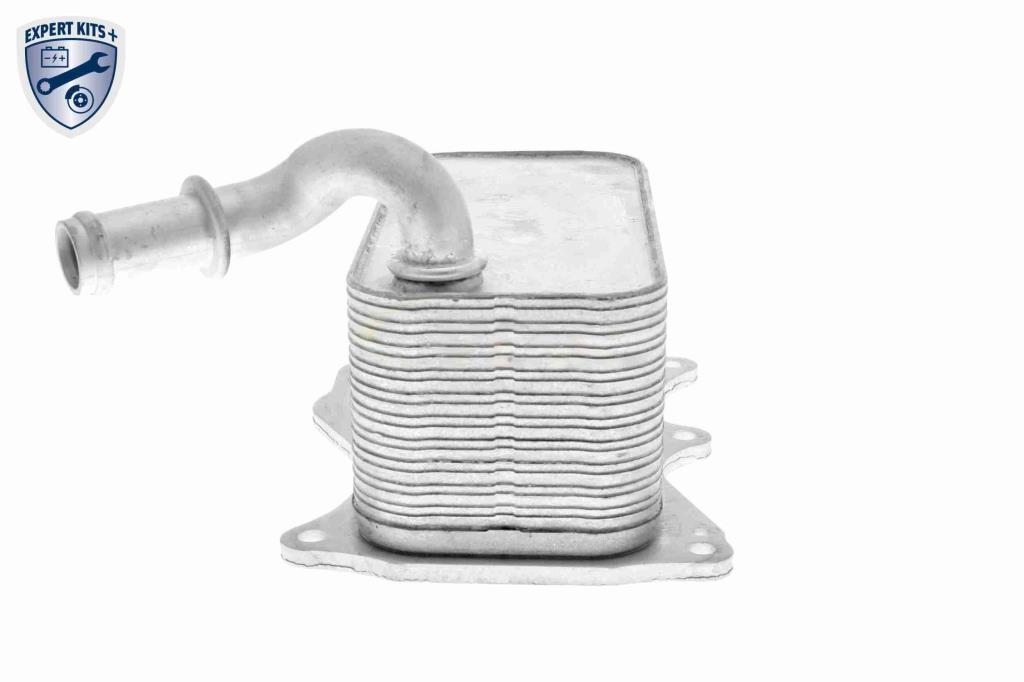 Radiateur d'huile moteur (Refroidisseur d'huile moteur) VEMO V30-60-1342
