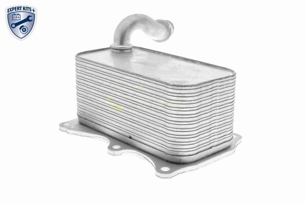 Radiateur d'huile moteur (Refroidisseur d'huile moteur) VEMO V30-60-1342