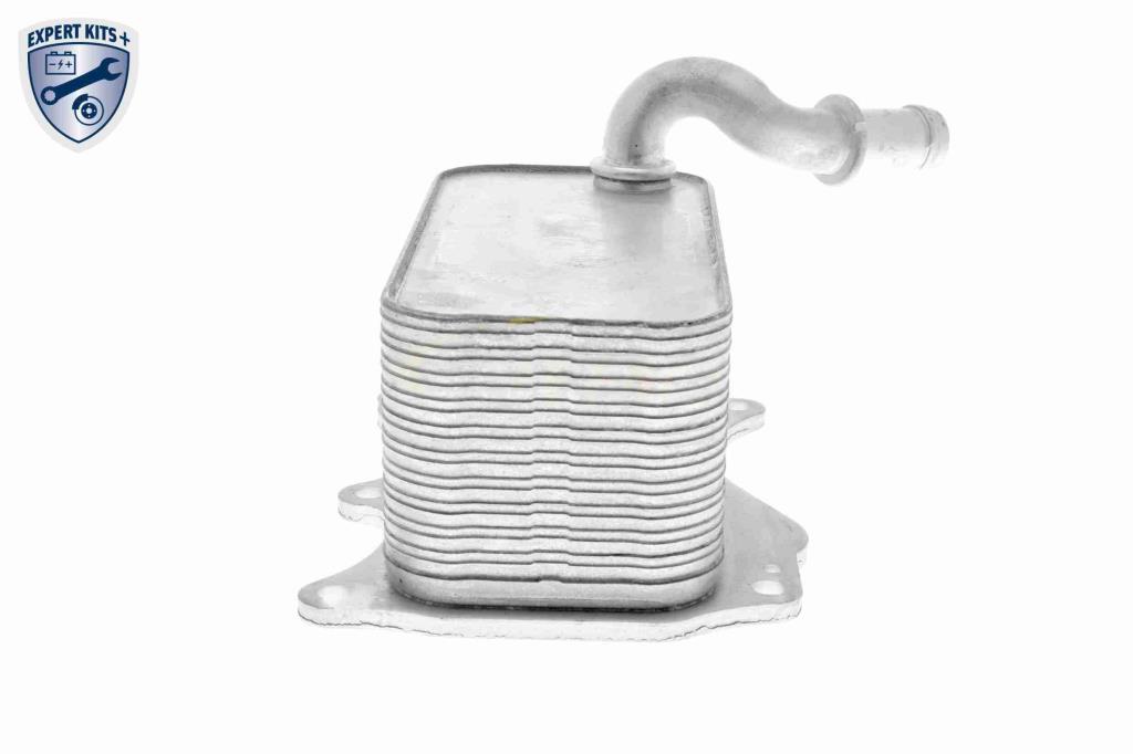 Radiateur d'huile moteur (Refroidisseur d'huile moteur) VEMO V30-60-1342