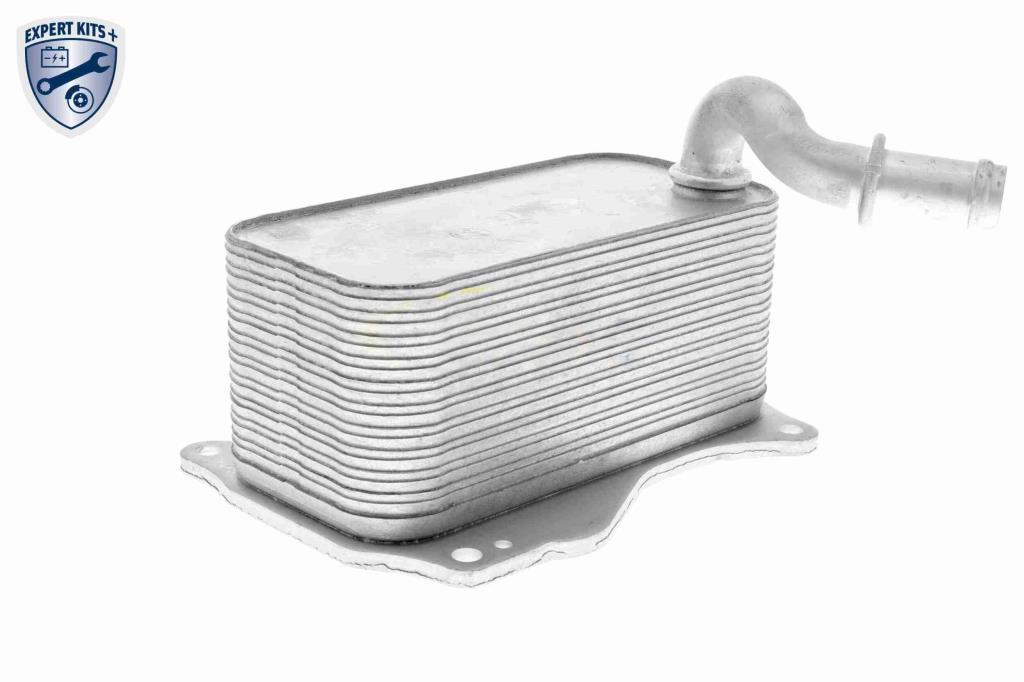Radiateur d'huile moteur (Refroidisseur d'huile moteur) VEMO V30-60-1342