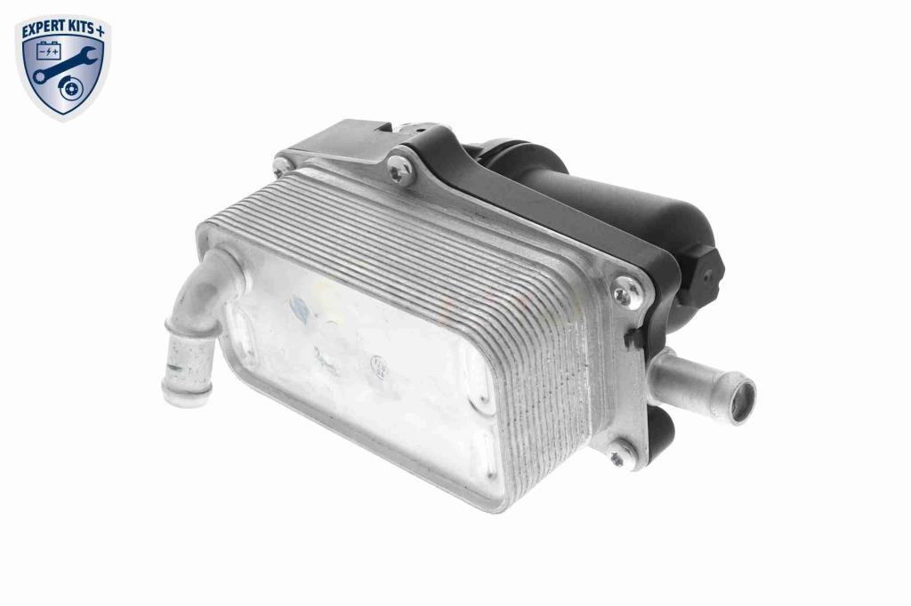 Radiateur d'huile moteur (Refroidisseur d'huile moteur) VEMO V30-60-1351