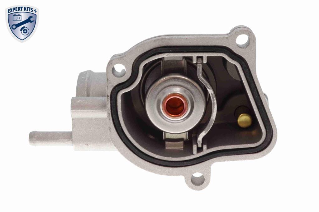 Thermostat d'eau (Calorstat) VEMO V30-99-0101