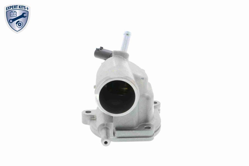 Thermostat d'eau (Calorstat) VEMO V30-99-0101