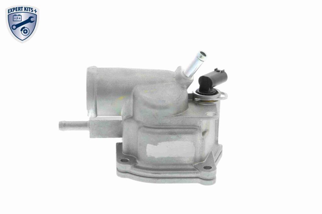 Thermostat d'eau (Calorstat) VEMO V30-99-0101