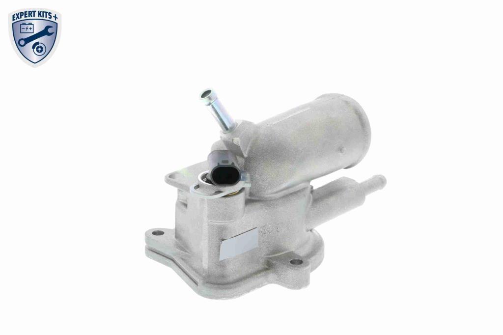 Thermostat d'eau (Calorstat) VEMO V30-99-0101