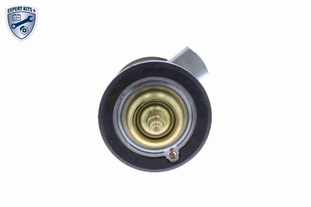 Thermostat d'eau (Calorstat) VEMO V30-99-0102-1