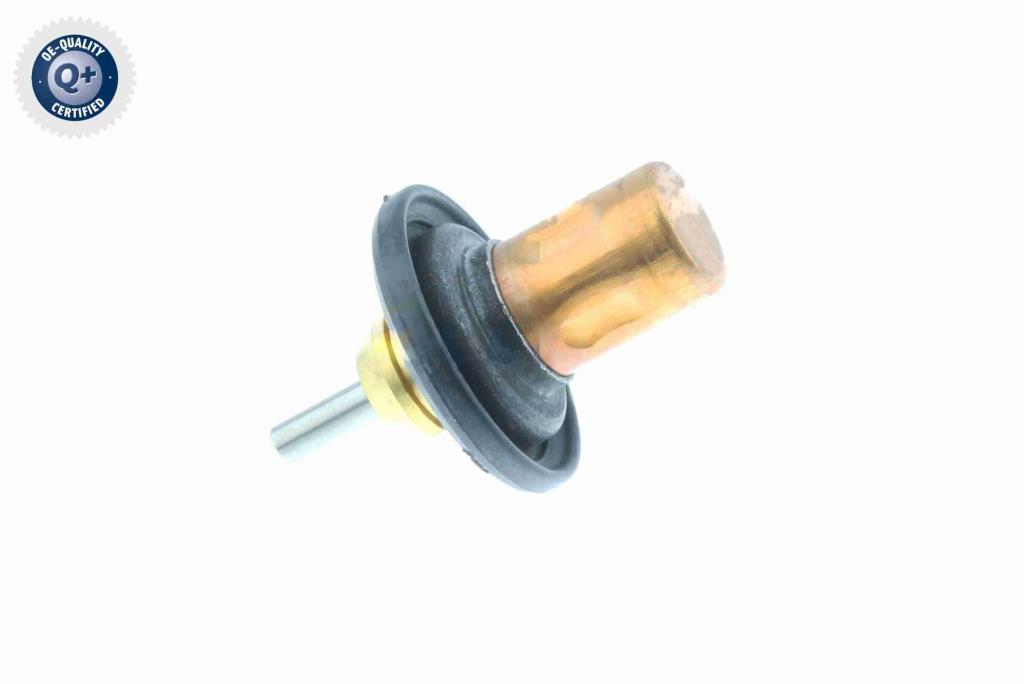 Thermostat d'eau (Calorstat) VEMO V30-99-0199