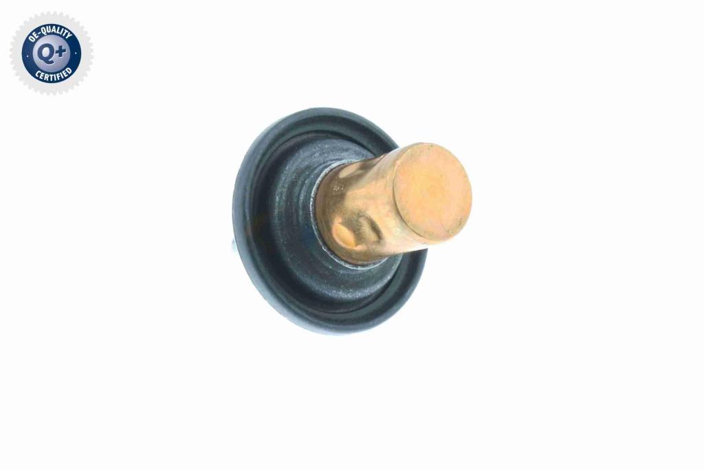Thermostat d'eau (Calorstat) VEMO V30-99-0199