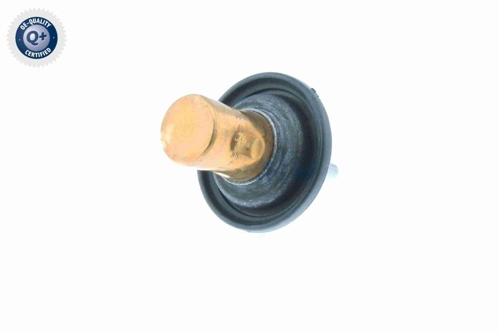 Thermostat d'eau (Calorstat) VEMO V30-99-0199