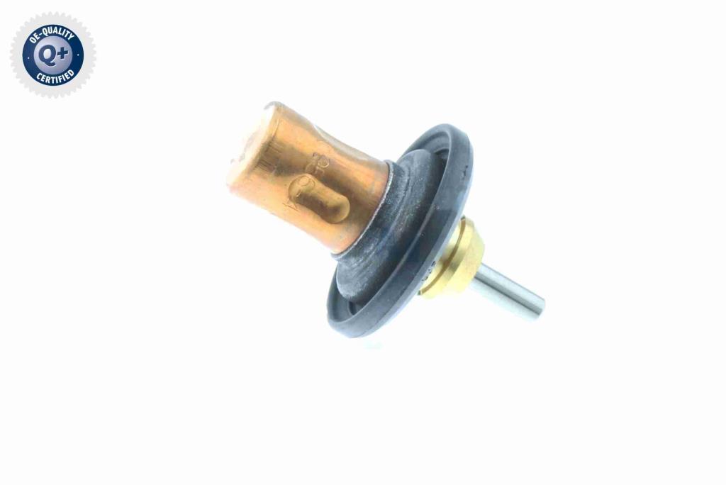 Thermostat d'eau (Calorstat) VEMO V30-99-0199