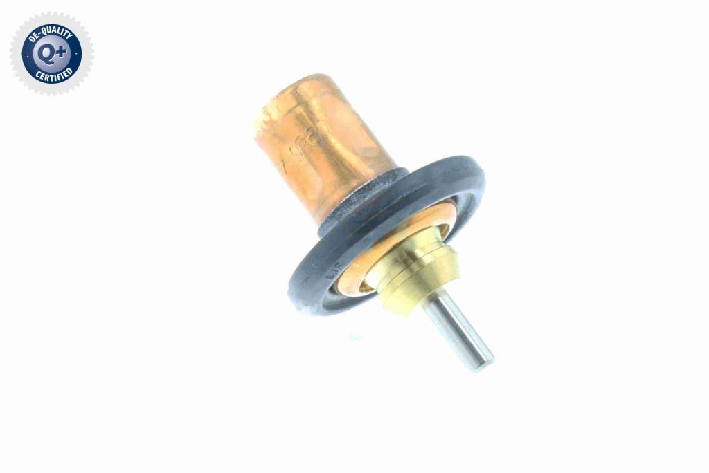 Thermostat d'eau (Calorstat) VEMO V30-99-0199