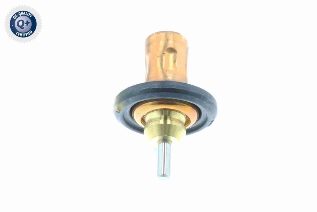 Thermostat d'eau (Calorstat) VEMO V30-99-0199