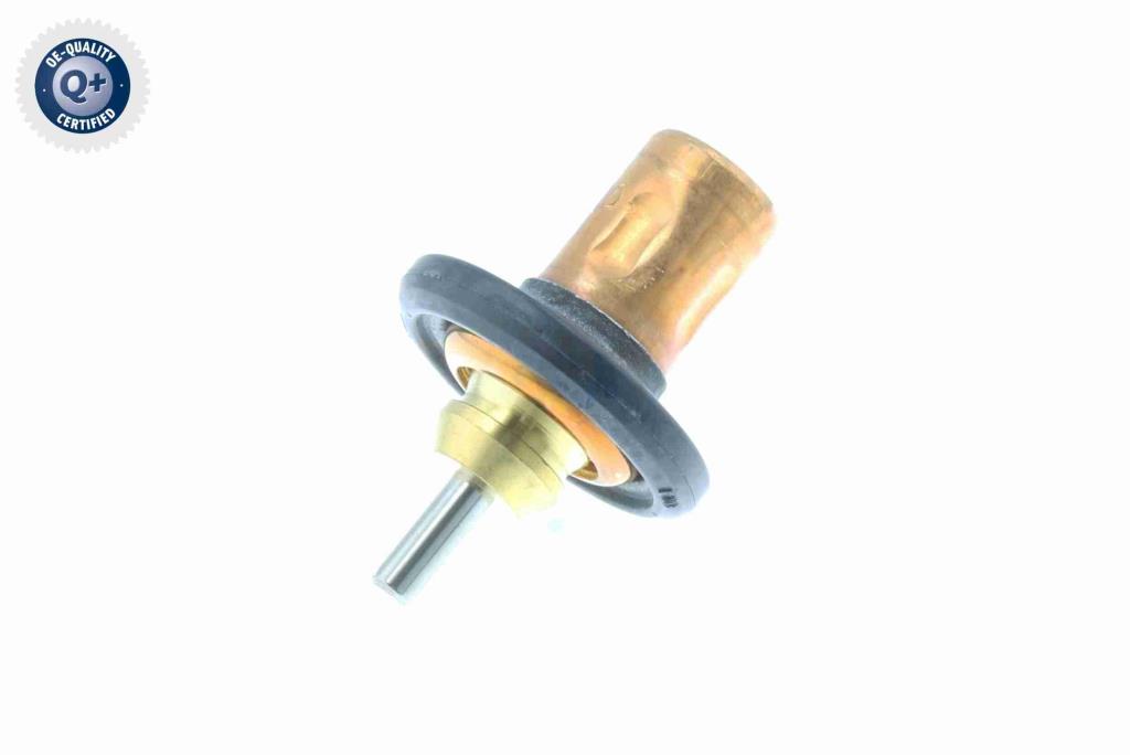 Thermostat d'eau (Calorstat) VEMO V30-99-0199