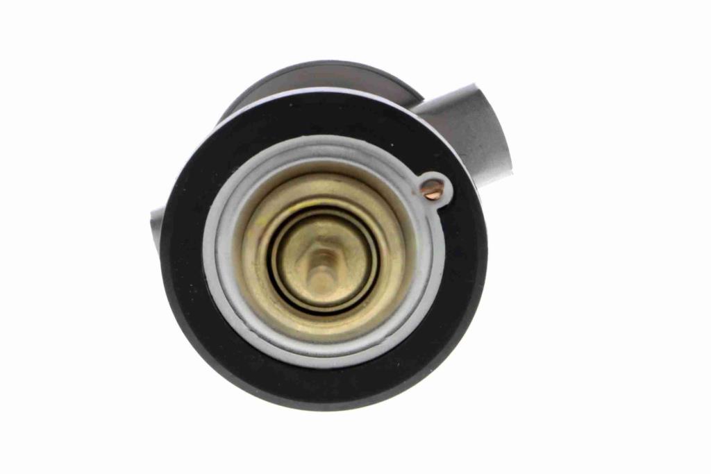Thermostat d'eau (Calorstat) VEMO V30-99-0201