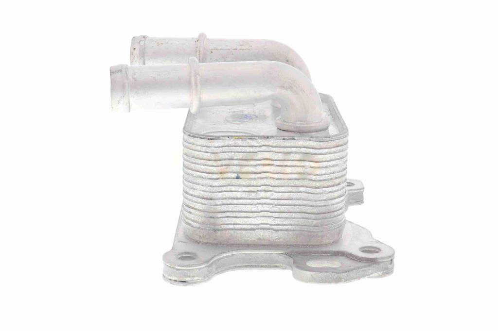 Radiador óleo motor VEMO ref. V38-60-0004
