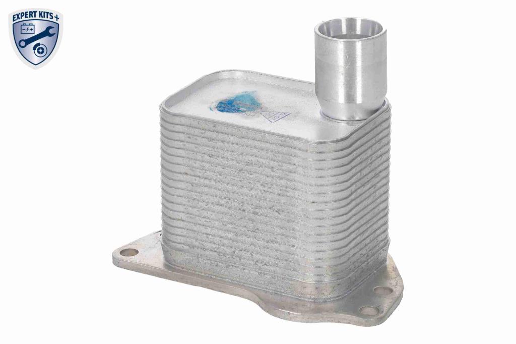 Radiador óleo motor VEMO ref. V40-60-0032