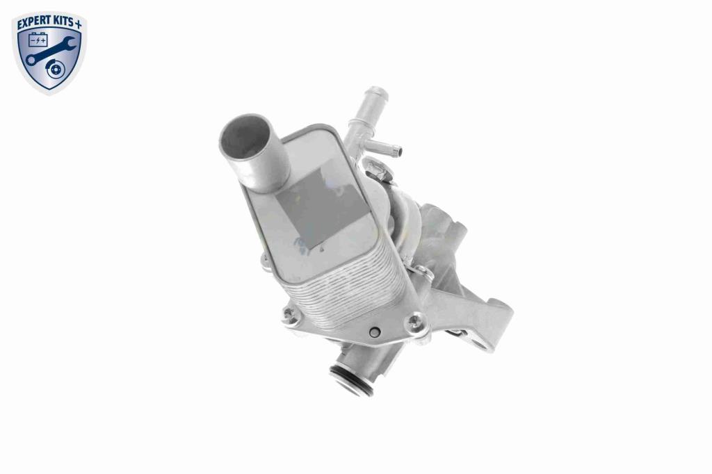Radiateur d'huile moteur (Refroidisseur d'huile moteur) VEMO V40-60-2098