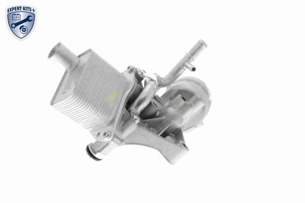 Radiateur d'huile moteur (Refroidisseur d'huile moteur) VEMO V40-60-2098