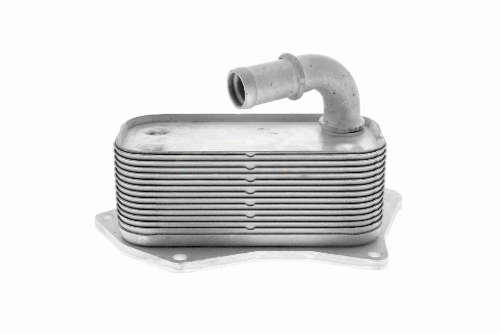 Radiateur d'huile moteur (Refroidisseur d'huile moteur) VEMO V40-60-2099