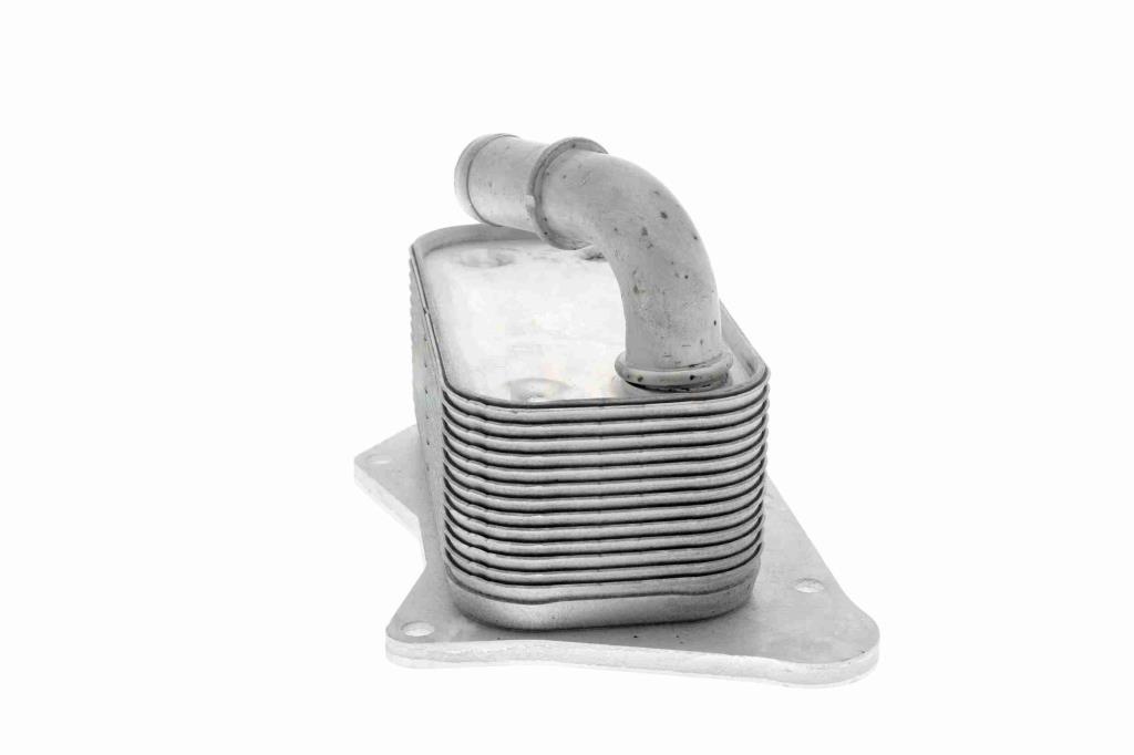 Radiateur d'huile moteur (Refroidisseur d'huile moteur) VEMO V40-60-2099