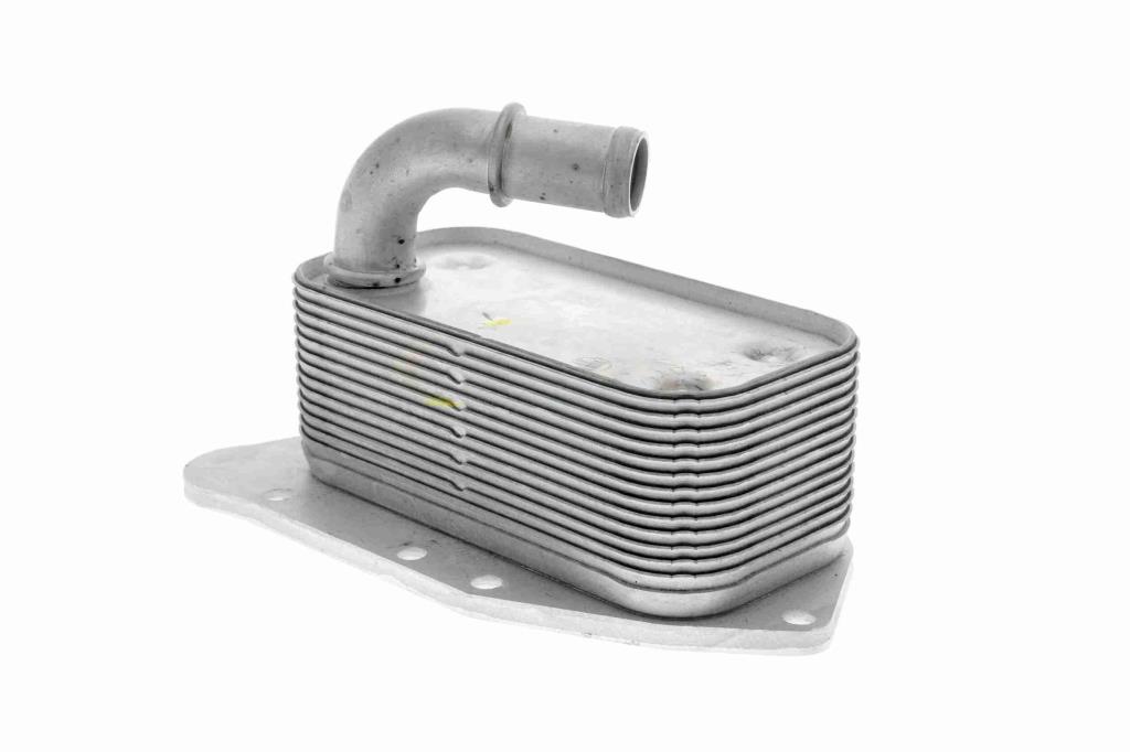 Radiateur d'huile moteur (Refroidisseur d'huile moteur) VEMO V40-60-2099