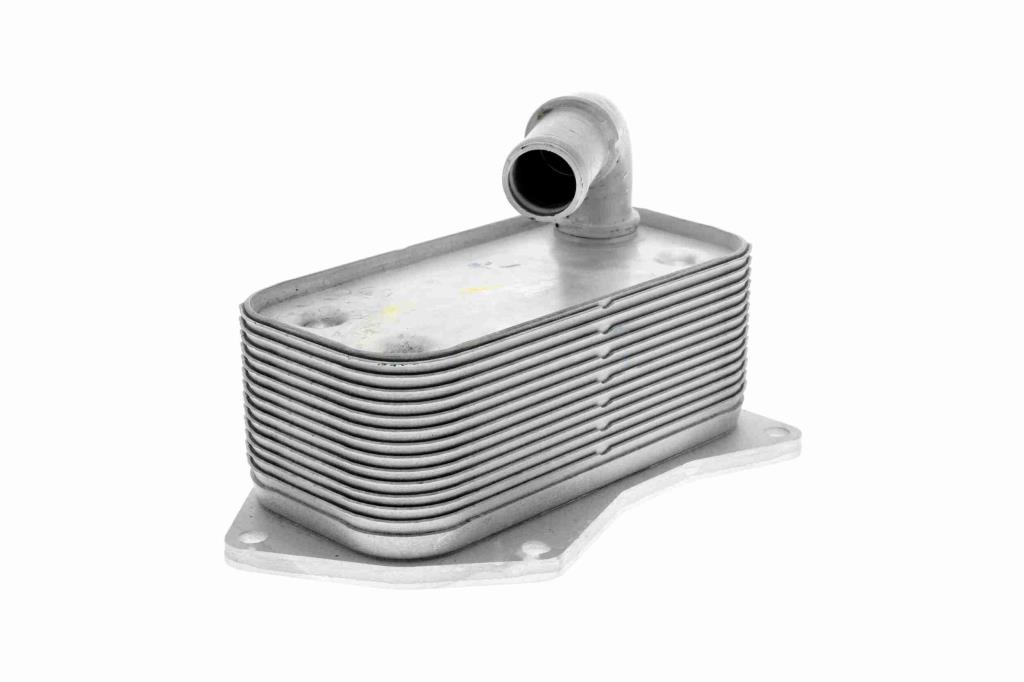 Radiateur d'huile moteur (Refroidisseur d'huile moteur) VEMO V40-60-2099