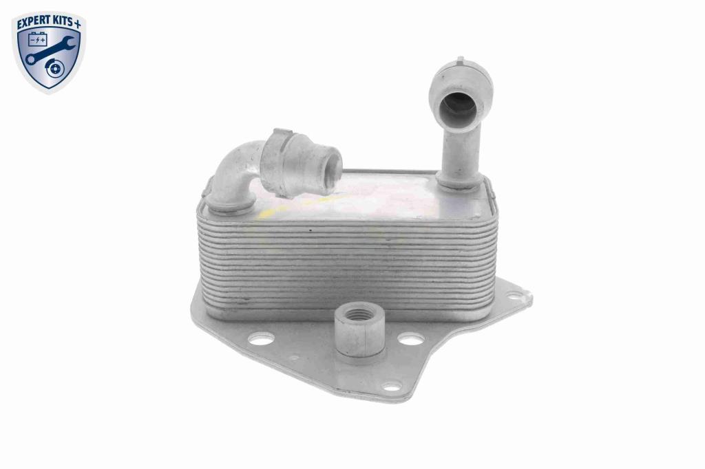 Radiateur d'huile moteur (Refroidisseur d'huile moteur) VEMO V40-60-2100