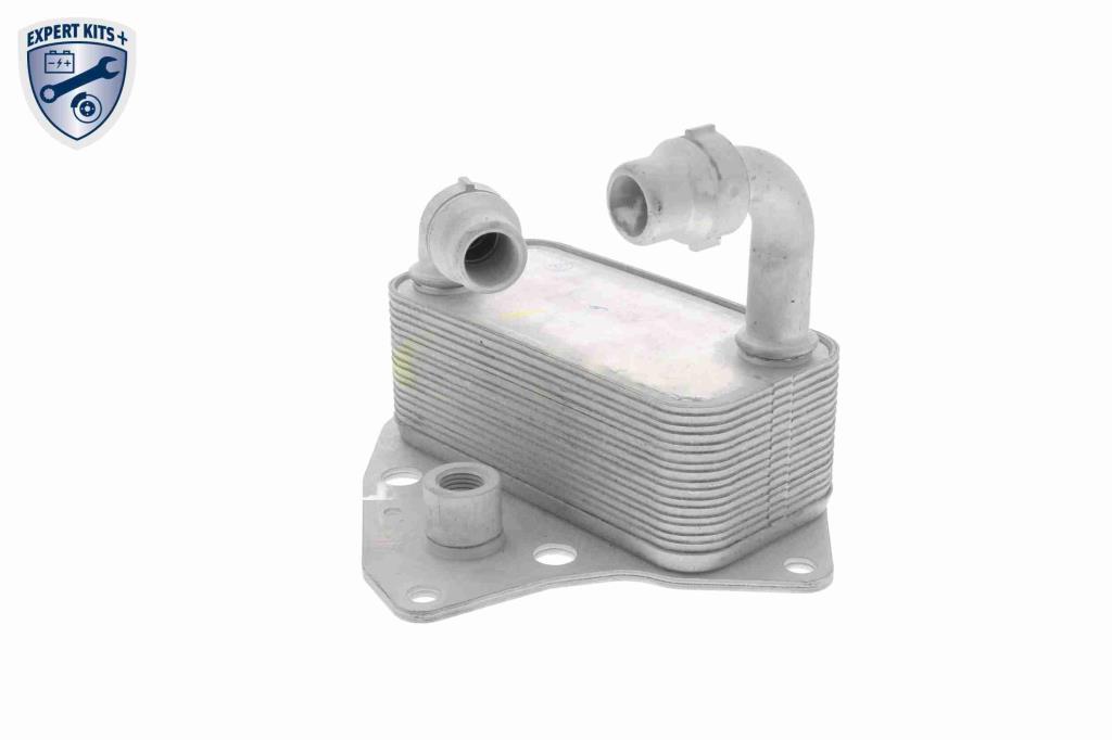 Radiateur d'huile moteur (Refroidisseur d'huile moteur) VEMO V40-60-2100