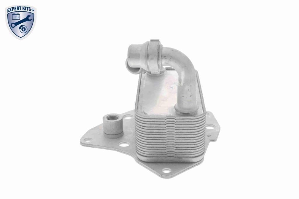 Radiateur d'huile moteur (Refroidisseur d'huile moteur) VEMO V40-60-2100