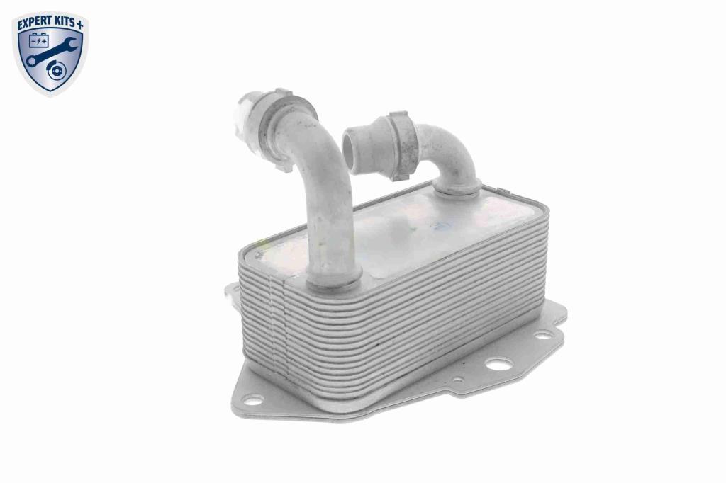 Radiateur d'huile moteur (Refroidisseur d'huile moteur) VEMO V40-60-2100