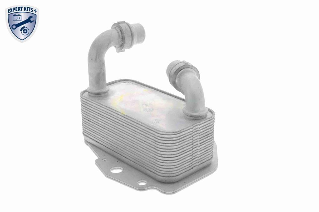 Radiateur d'huile moteur (Refroidisseur d'huile moteur) VEMO V40-60-2100