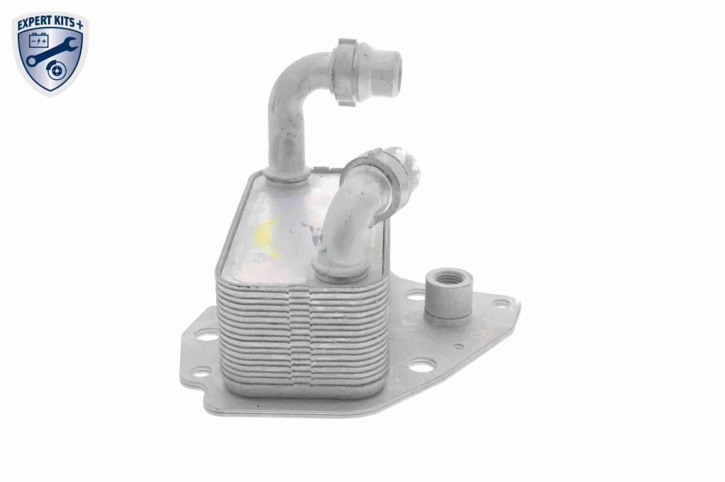 Radiateur d'huile moteur (Refroidisseur d'huile moteur) VEMO V40-60-2100
