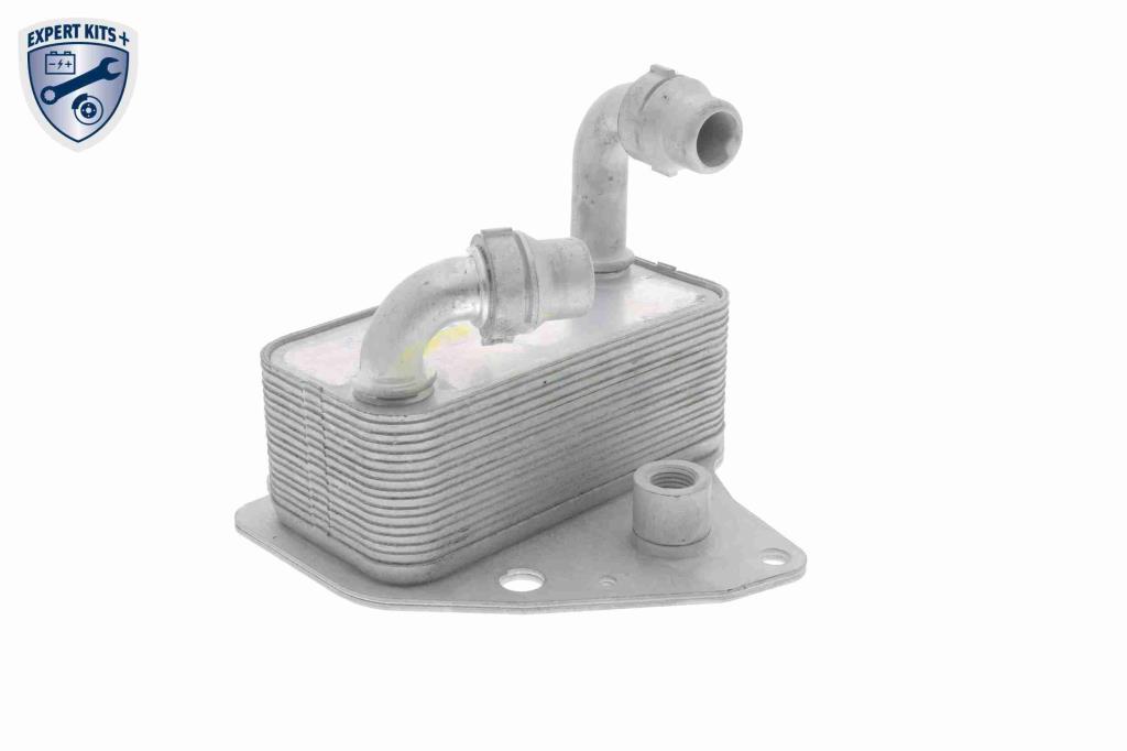 Radiateur d'huile moteur (Refroidisseur d'huile moteur) VEMO V40-60-2100
