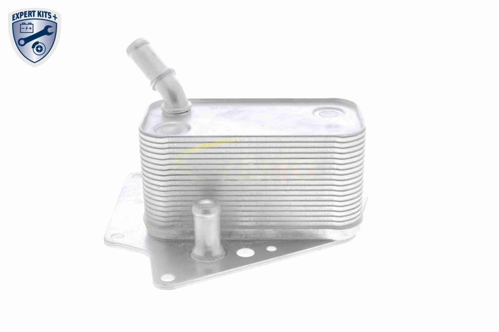Radiador óleo motor VEMO ref. V40-60-2101