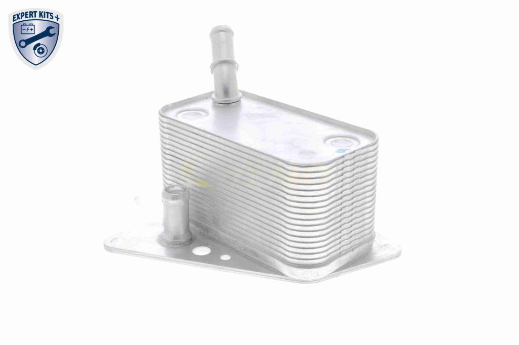 Radiador óleo motor VEMO ref. V40-60-2101