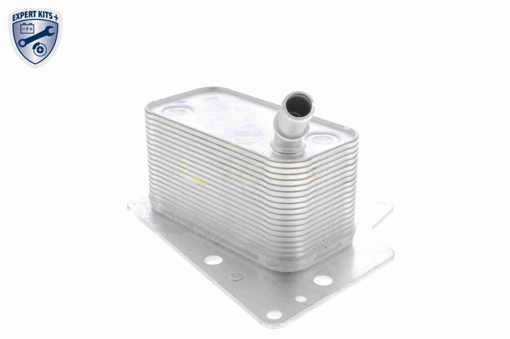 Radiador óleo motor VEMO ref. V40-60-2101