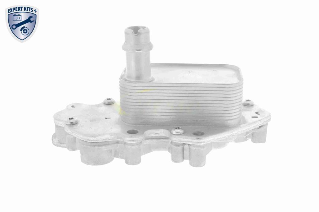 Radiateur d'huile moteur (Refroidisseur d'huile moteur) VEMO V40-60-2102