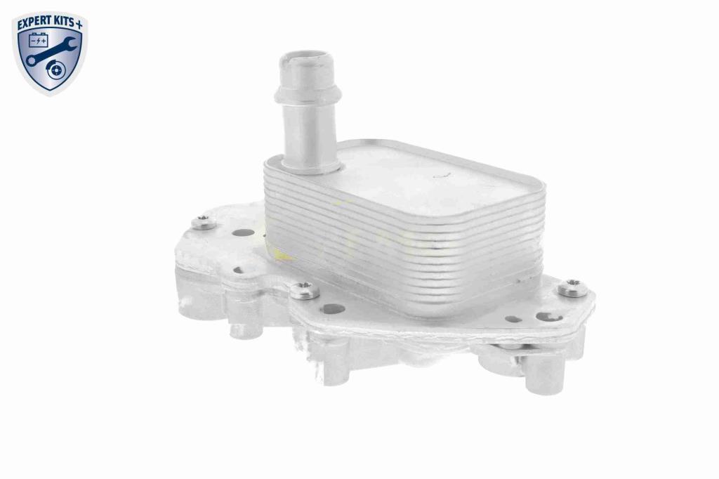 Radiateur d'huile moteur (Refroidisseur d'huile moteur) VEMO V40-60-2102