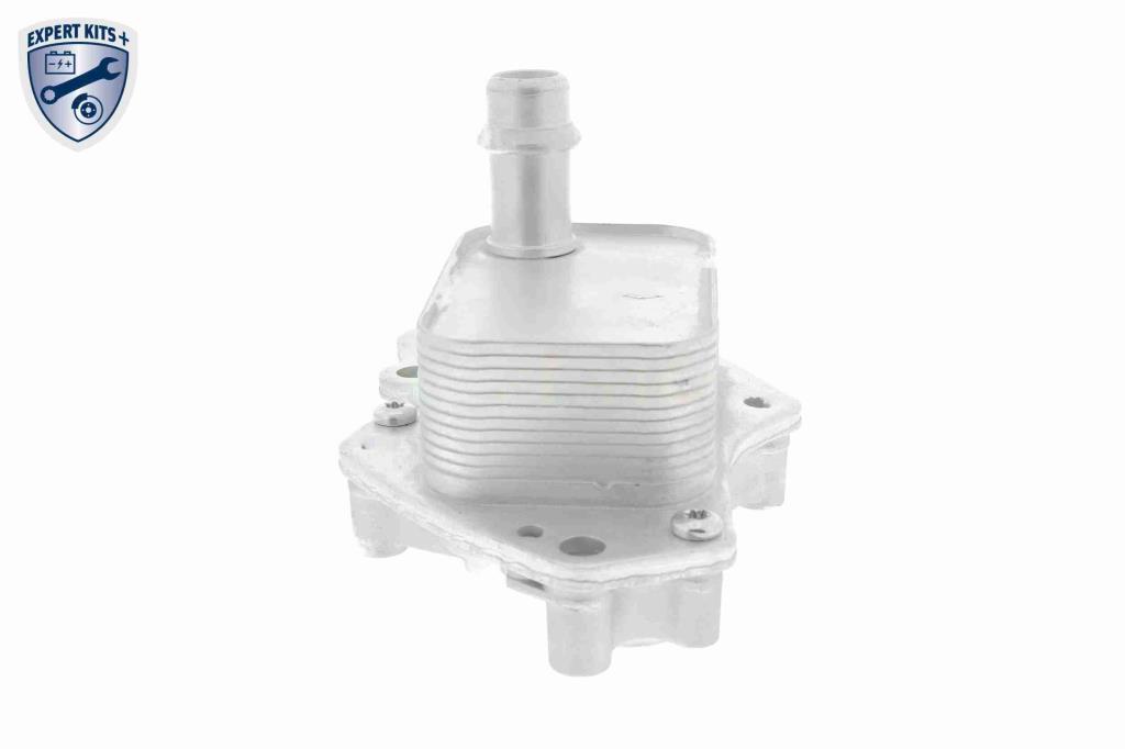 Radiateur d'huile moteur (Refroidisseur d'huile moteur) VEMO V40-60-2102