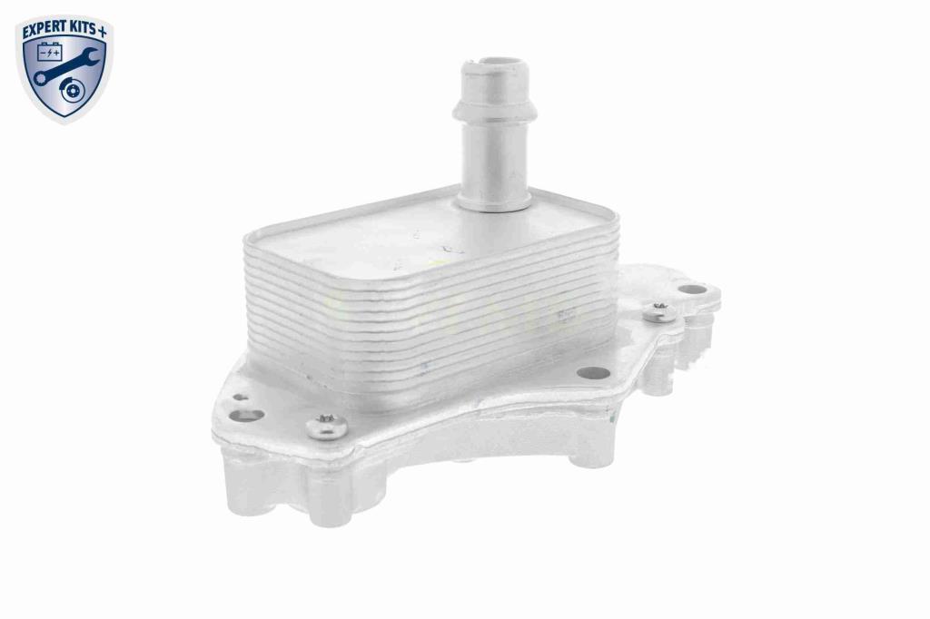 Radiateur d'huile moteur (Refroidisseur d'huile moteur) VEMO V40-60-2102