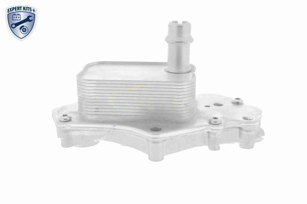 Radiateur d'huile moteur (Refroidisseur d'huile moteur) VEMO V40-60-2102